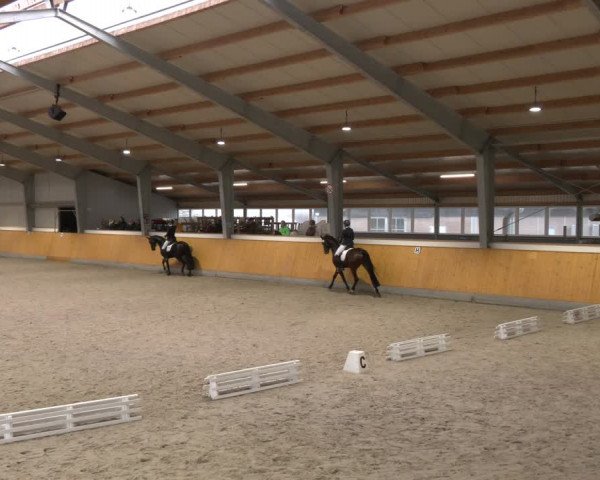 Reitturnier Münster-Amelsbüren 2024