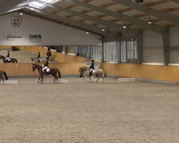 Reitturnier Münster-Amelsbüren 2024