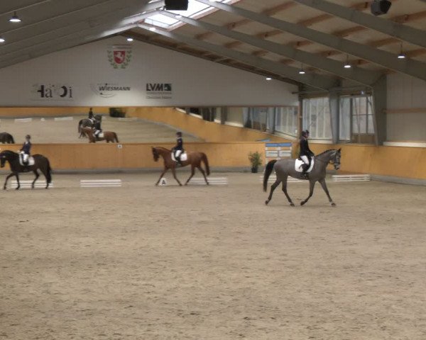 Reitturnier Münster-Amelsbüren 2024