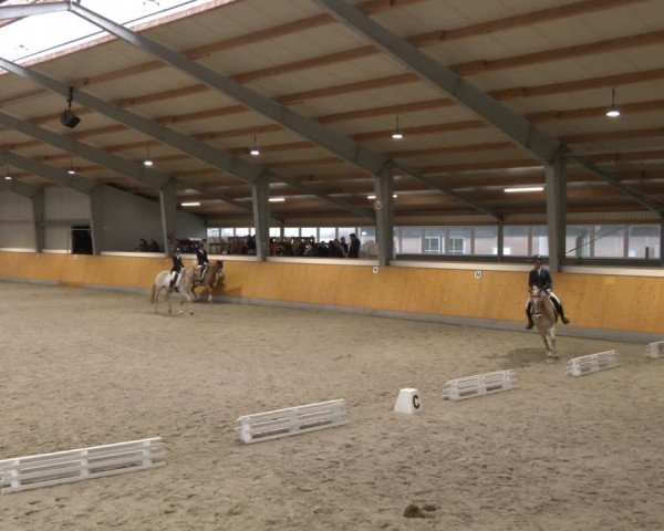 Reitturnier Münster-Amelsbüren 2024