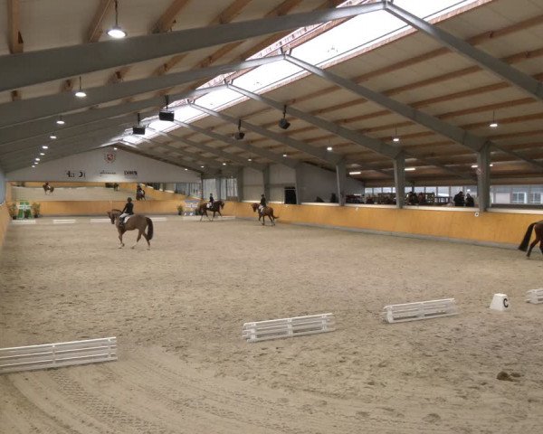 Reitturnier Münster-Amelsbüren 2024