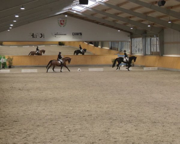 Reitturnier Münster-Amelsbüren 2024