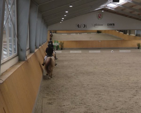 Reitturnier Münster-Amelsbüren 2024