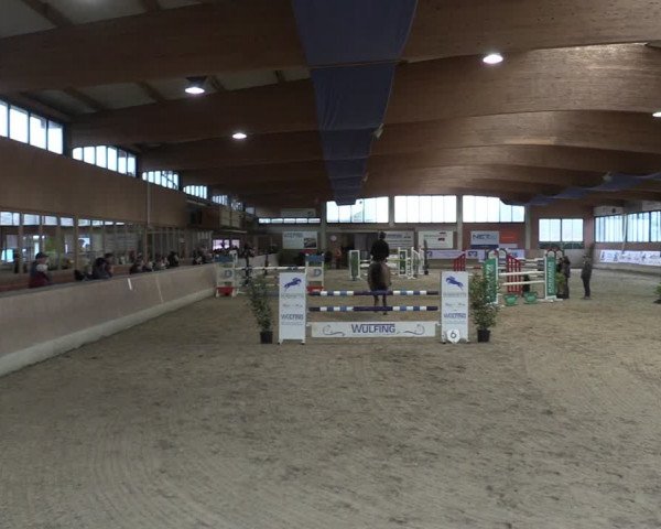 Reitturnier Heiden 2024