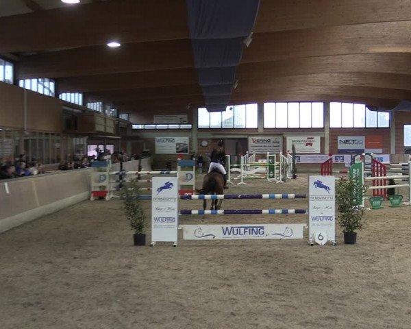 Reitturnier Heiden 2024