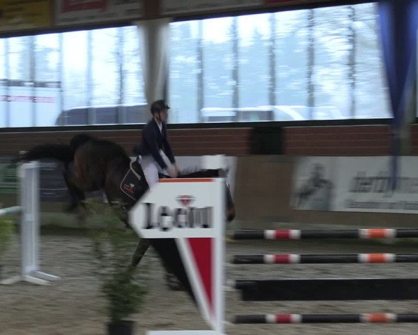 Reitturnier Heiden 2024