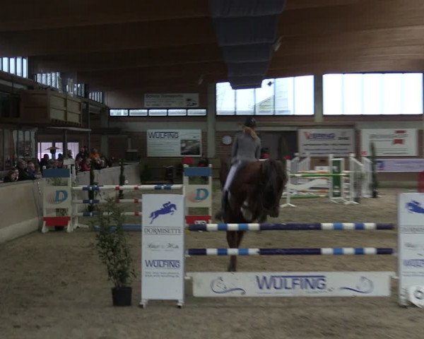 Reitturnier Heiden 2024