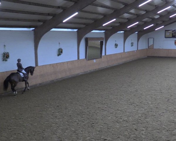 Reitturnier Olfen-Vinnum 2024