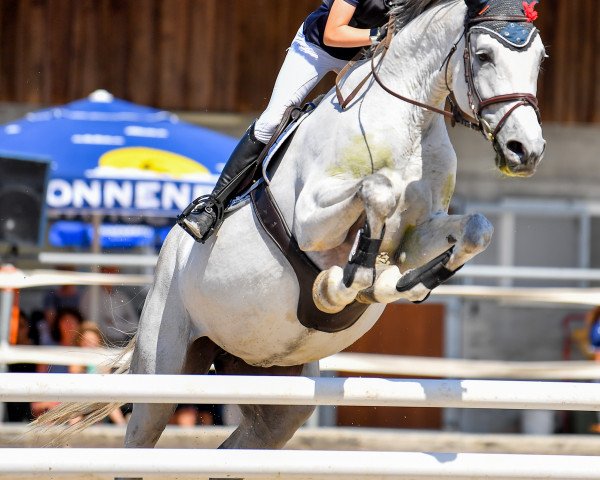 broodmare Levana von Worrenberg (Swiss Warmblood, 2011, from Levisonn 208 FIN)