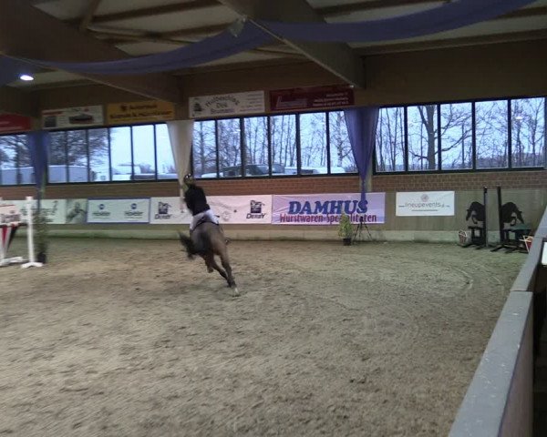 Reitturnier Heiden 2024