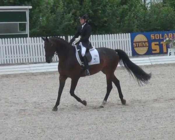 Riesenbeck INTERNATIONAL 2011