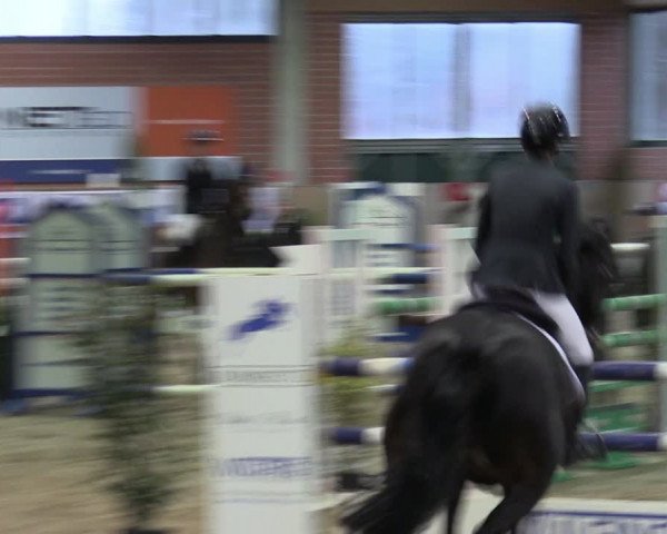 Reitturnier Heiden 2024
