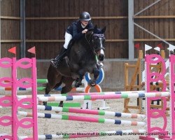 jumper Hero A.T. (KWPN (Royal Dutch Sporthorse), 2012, from Brainpower)