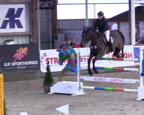 5. Nordic Jumping event Negernbötel 2024