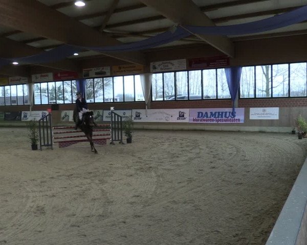 Reitturnier Heiden 2024