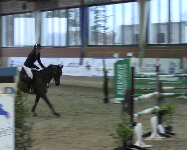 Reitturnier Heiden 2024