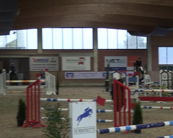 Reitturnier Heiden 2024