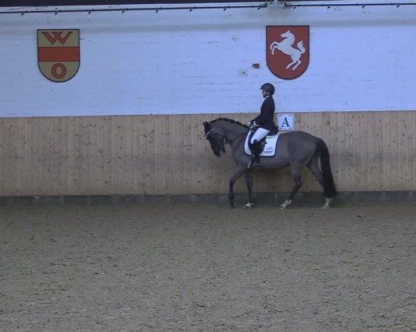 Reitturnier Olfen-Vinnum 2024