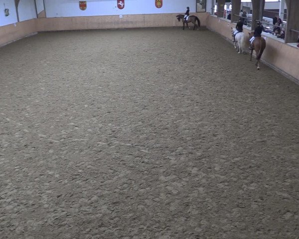 Reitturnier Olfen-Vinnum 2024