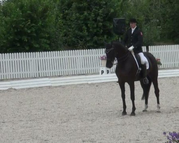 Riesenbeck INTERNATIONAL 2011