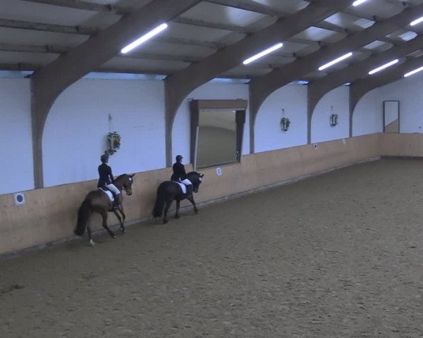 Reitturnier Olfen-Vinnum 2024