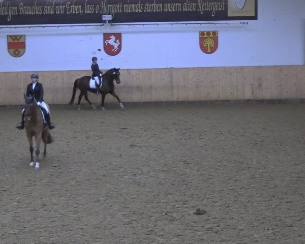 Reitturnier Olfen-Vinnum 2024