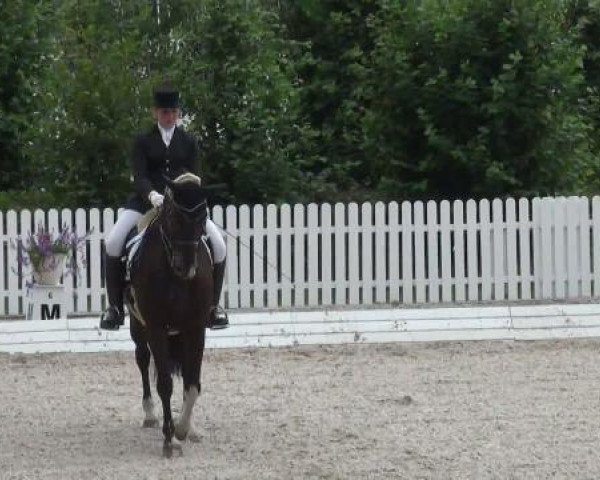 Riesenbeck INTERNATIONAL 2011