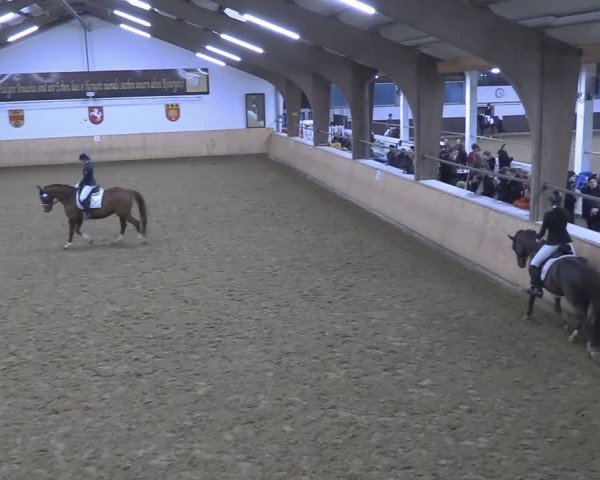 Reitturnier Olfen-Vinnum 2024