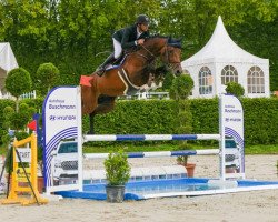 jumper Cavallo Di Casall (Holsteiner, 2018, from Casall Ask)