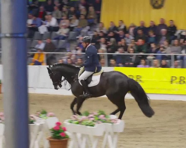 Video of Duplexx