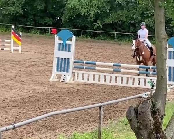 Video von Dancing Daisy 4
