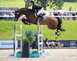 jumper Quanthago PS (Mecklenburg, 2018, from Quantos 17)