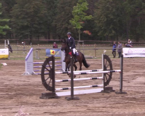 Reitturnier Baitz 2021
