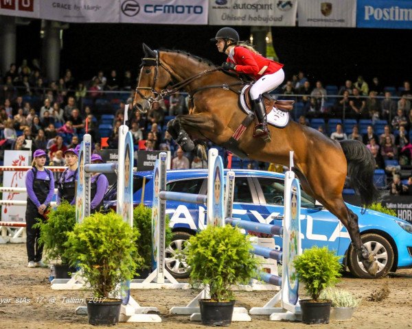 Springpferd Dundas V.d.m. (KWPN (Niederländisches Warmblut), 2008, von VDL Cardento 933)