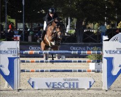 broodmare Henora (Holsteiner, 2015, from Casall Ask)