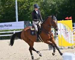 jumper Eastcoast 5 (German Sport Horse, 2017, from Eldorado van de Zeshoek)