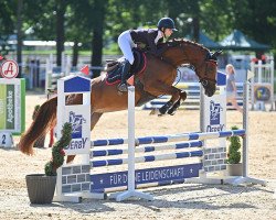 jumper Temptation K (Holsteiner, 2019, from Tangelo van de Zuuthoeve)