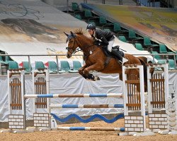 jumper Malaca (Rhinelander, 2018, from Maloubet de Pleville)