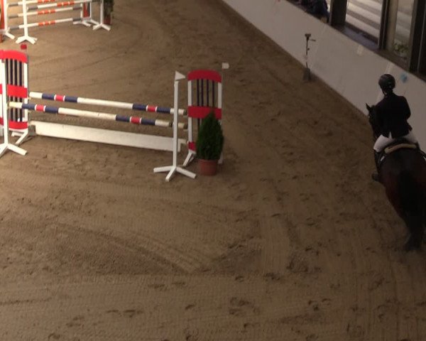 Reitturnier Legden 2024