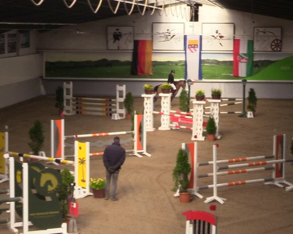 Reitturnier Legden 2024