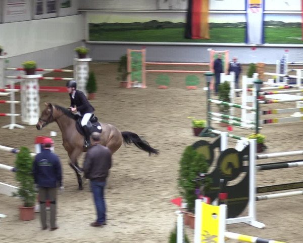 Reitturnier Legden 2024