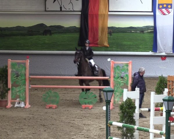 Reitturnier Legden 2024