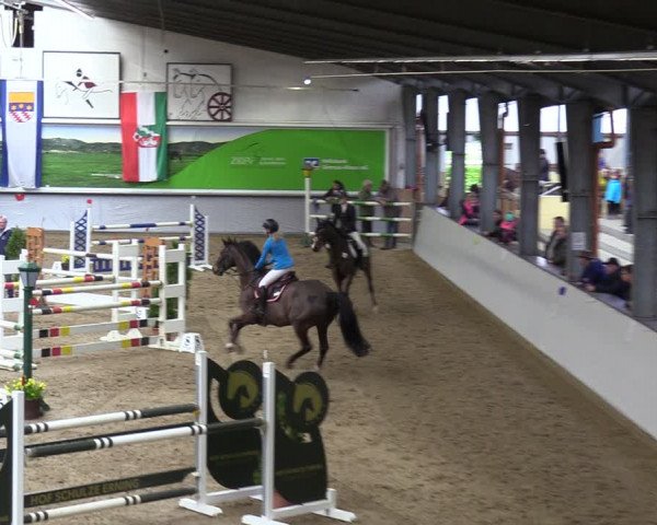 Reitturnier Legden 2024