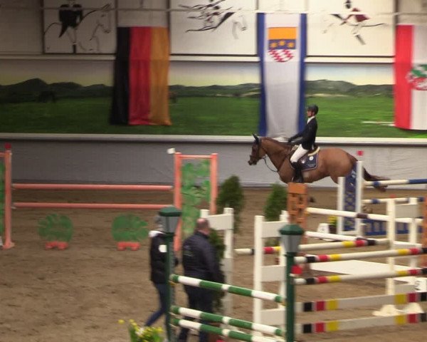 Reitturnier Legden 2024