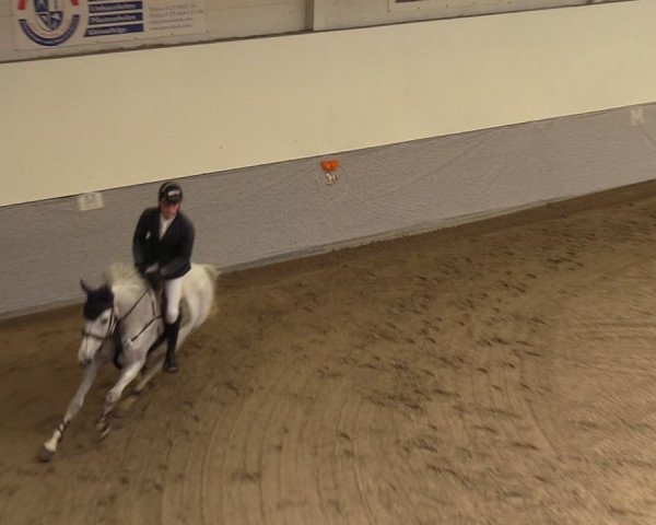 Reitturnier Legden 2024