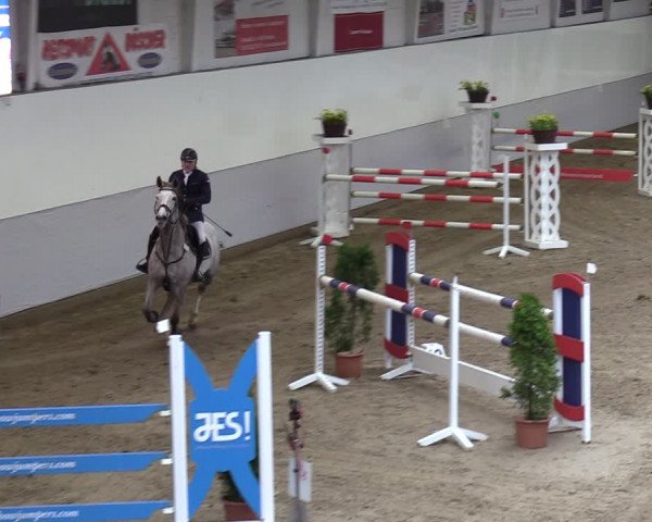Reitturnier Legden 2024