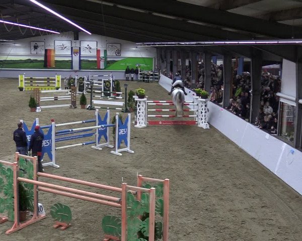 Reitturnier Legden 2024