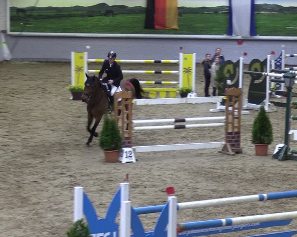 Reitturnier Legden 2024