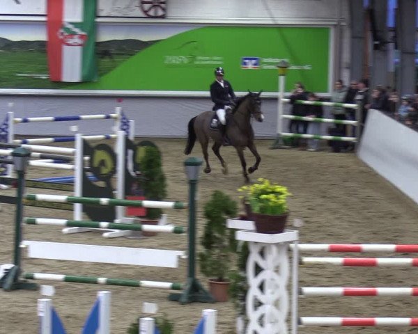 Reitturnier Legden 2024