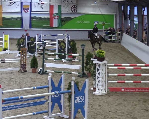 Reitturnier Legden 2024